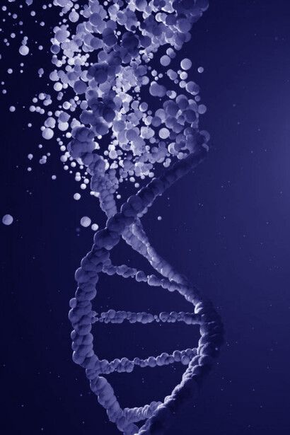 Uno dei temi che ha richiamato l’attenzione dei biologi riguarda l’influenza dell’ambiente sull’espressione del DNA
