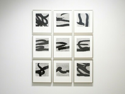 Monochrome, Exhibition view. Courtesy of Bruce Silverstein Gallery 