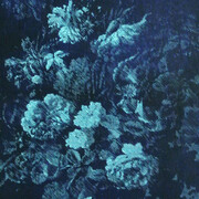 Katsu Yuasa, Death of Beauty 1 (detail), 2014