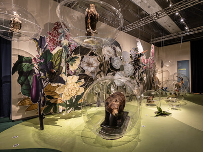 In praise of diversity. Journey through italian ecosystems, exhibition view. Courtesy of Palazzo Esposizioni Roma