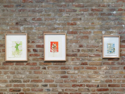 Tue Greenfort, Wunderkammer, exhibition view. Courtesy of König Galerie