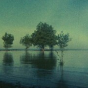 Simryn Gill, Untitled, 2004 Still from Super 8mm film. Courtesy the artist