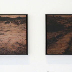 M I N D S C A P E S. Courtesy of bo.lee gallery