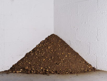 Esther Naor, Any other place, 2015