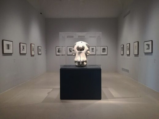 Henry Moore: la percezione della forma è per lo scultore una sensazione interiore