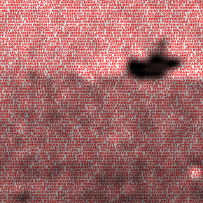 Monica Alcazar-Duarte