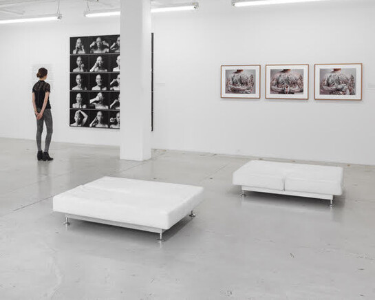 Body, Self, Society, Exhibition view. Courtesy of The Walther Collection