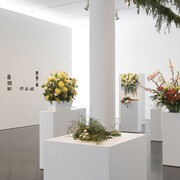 Undefined Territories. Courtesy of Museu d’Art Contemporani de Barcelona (MACBA)