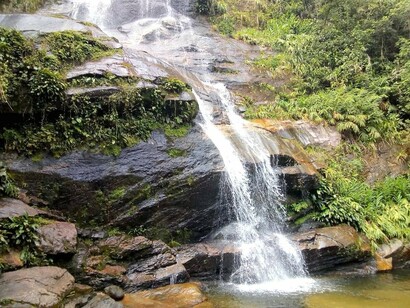 Parque Florestal da Tijuca, Rio de Janeiro, Brasil