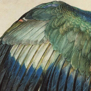 Albrecht Dürer. Courtesy of Albertina