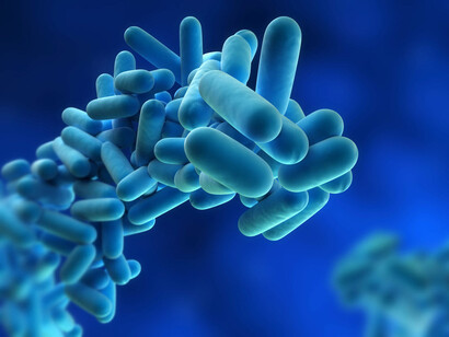 Probiotici