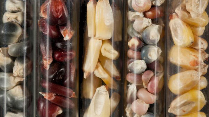 A museum of modern nature. Courtesy of Wellcome Collection 