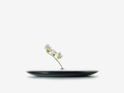 Studio Wieki Somers, Narcissus from series Still Wa…thijs Labadie