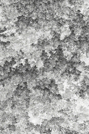 Santeri Tuori. Courtesy of Purdy Hicks Gallery