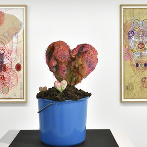 De humani corporis fabrica. Courtesy of Christophe Gaillard