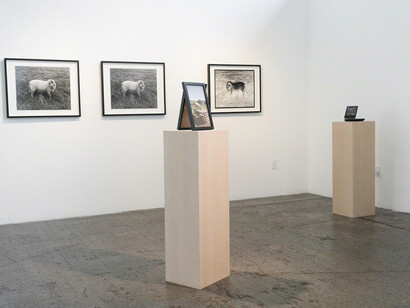 Cloned. Courtesy of Gallery 16