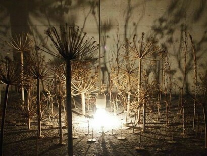 Icelandic Forest_ by Miyuki Kido — Photo by Ásta Guðmundsdóttir.  
