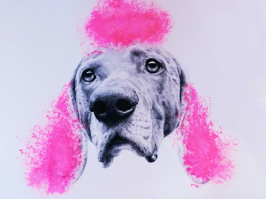 Robbins & Roberts, Pussypoodle