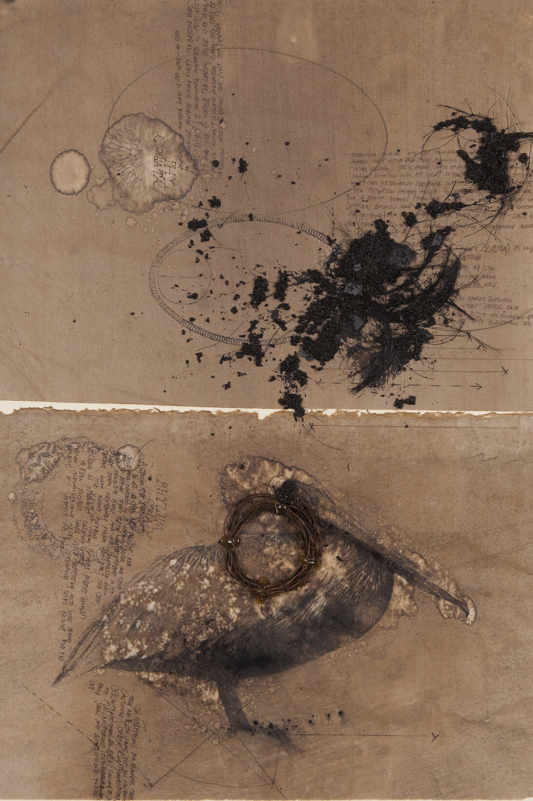 Courtesy Ricardo Brey & Galerie Nathalie Obadia Paris / Brussels © We Document Art