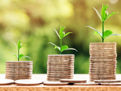 Ecological value can add to the economic growth