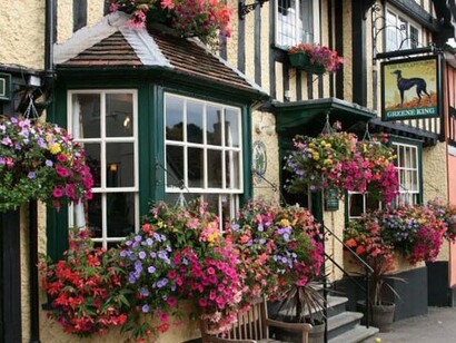 Flowers of all colours