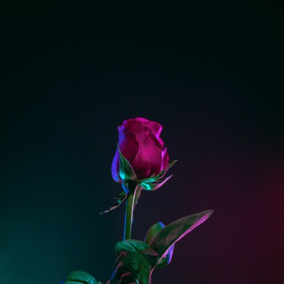 Perfección absoluta, cumplimiento sin defecto