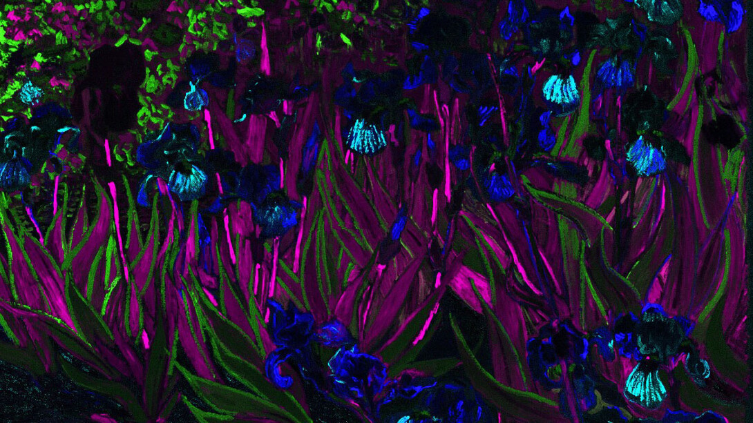 XRF of Irises (detail), 1889, Vincent van Gogh. Courtesy of J. Paul Getty Museum