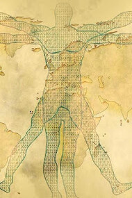 L’Homme Vitruvé dans le monde d’aujourd’hui