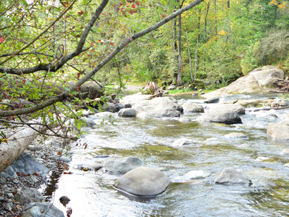 El amor y la luz en el ser humano es la divinidad que nos habita en el corazón. Green River en Kanaskat-Palmer State Park, King County, Washington, Estados Unidos