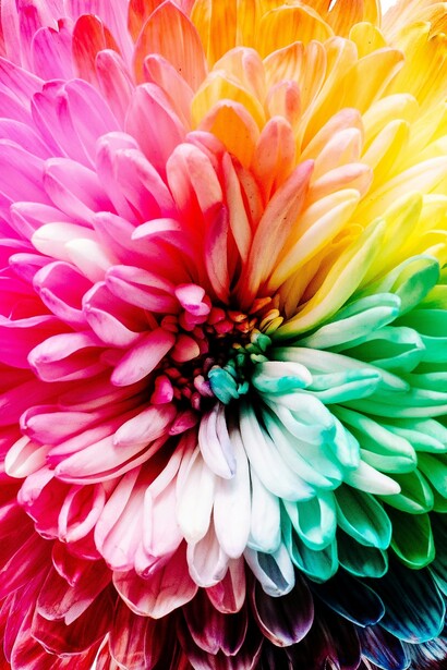 Essere multipotenziali significa avere una curiosità inesauribile, che spinge a esplorare nuove discipline, sviluppare diverse abilità e trovare connessioni inaspettate tra campi apparentemente lontani