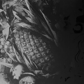 Laercio Redondo. Courtesy of Pinacoteca