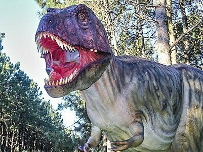Dino Parque de Lourinhã. Entre as descobertas mais emblemáticas está o Lourinhanosaurus antunesi, descrito em 1998. Este dinossauro terópode, carnívoro e bípedo, podia atingir cerca de 4,5 metros de comprimento. O nome presta homenagem não só à região, mas também ao paleontólogo português Miguel Telles Antunes, figura central da investigação em fósseis portugueses. O Lourinhanosaurus é particularmente relevante por se tratar de uma espécie exclusiva da Lourinhã, não tendo sido encontrada em mais nenhuma parte do mundo