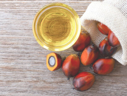On the table, palm oil and oil palm fruit symbolize their significant influence on global industries and environmental discourse