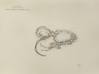 Shelter in Place. Courtesy of Front Room Gallery