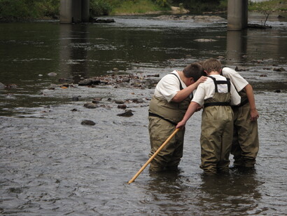 Durante el trabajo «Niños en el arroyo», los alumnos van rotando por cuatro estaciones: química del agua, salud de la cuenca hidrográfica, muestreo de peces y muestreo de invertebrados acuáticos. Condado de Haywood, río Pigeon.Carolina del Norte, EE.UU.