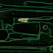 Alexandra Diez de Rivera, Vessels pistols (detalle). Cortesía del Espacio Valverde