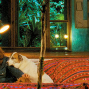 Rosalind Nashashibi: Vivian's Garden. Courtesy of Art Institute of Chicago