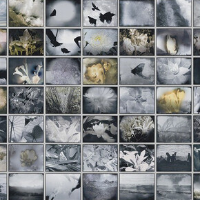 Michelle Stuart. Courtesy of Galerie Lelong