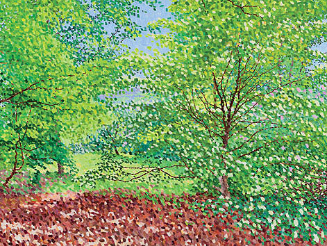 William Wilkins, Sunlight, Cornus Florida