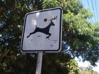 Placa adverte para a presença de animais com chifres na ciclovia do Rio Pinheiros em São Paulo, Brasil. O rio, apesar de já menos fétido, está longe de ser convidativo a um banho, muito menos uma morada, ainda que seja possível nos depararmos com as capivaras, suas maiores habitantes, nadando ou caminhando em seu entorno. O mesmo já não se pode dizer da esparsa presença dos patos, garças e outras aves pelo rio