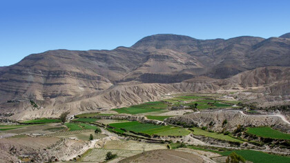 Los hallazgos paleontológicos en la zona de Yura, cerca de Arequipa, Perú, revelan que las actuales montañas andinas fueron en otro tiempo parte de un antiguo entorno marino lleno de vida