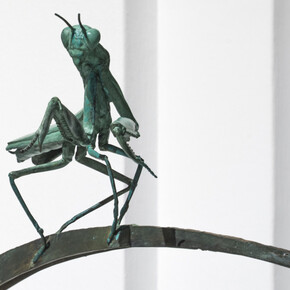 Invertebrados De Andalucía. Courtesy of Casa de la Ciencia