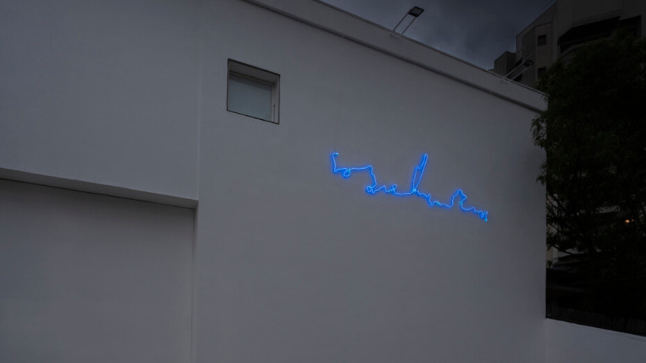 Agnieszka Kurant. Courtesy of Fortes D’Aloia & Gabriel
