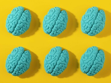 Six sculpted brains displayed side by side, reflecting the transcriptome's role in shaping neural activity and cognition