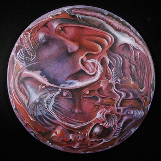 France Garrido, Transformation