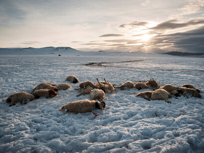 Alessandro Grassani, Mongolia, provincia di Arkhangai. Cortesia di Anna Defrancesco