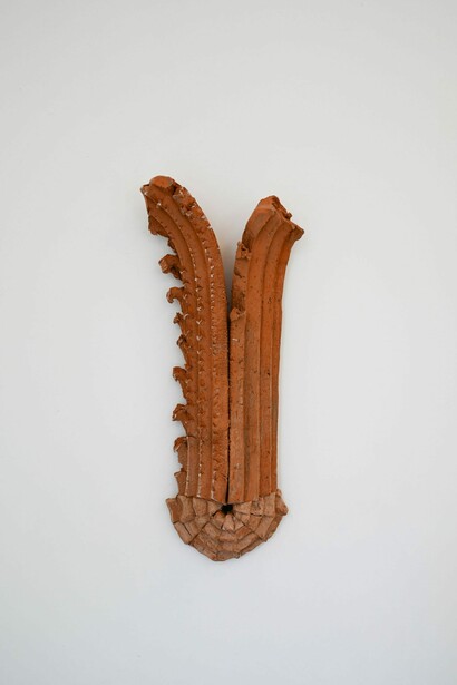 Vasco Futscher, Rosebud, vista da exposição. Cortesia da Kubikgallery