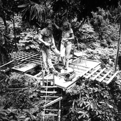 Andy Field y Almira Hoogesteyn en la plataforma sobre un árbol niño. Foto: Carlos Bordón