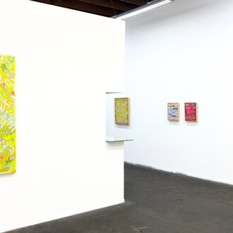 Barbara Strasen, Inside the imaginal realm, exhibition view. Courtesy of Billis/Williams Gallery