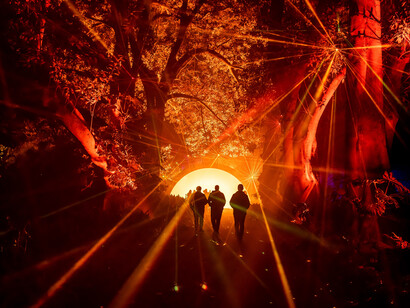 Light cycles. Courtesy of Fever